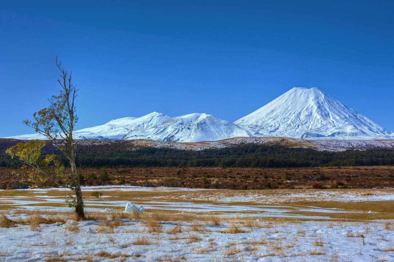 Beech Tree Lodge Ohakune Eksteriør bilde